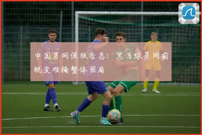 中国男网保级告急:黑马球员网前蜕变难掩整体困局
