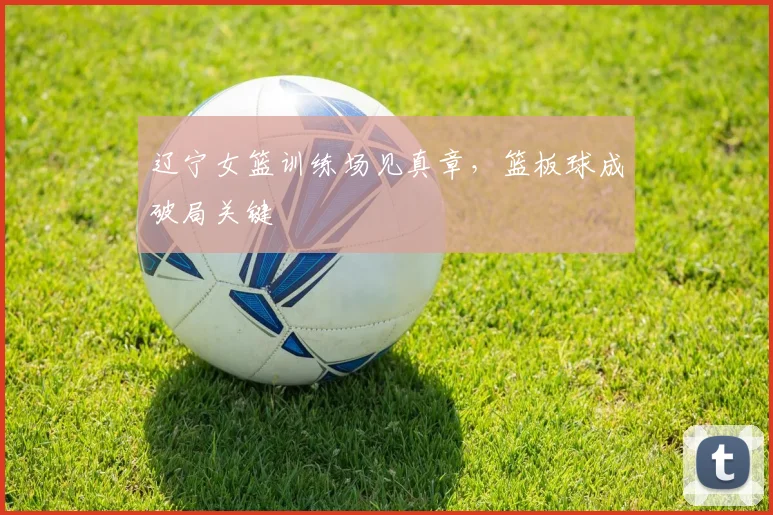 辽宁女篮训练场见真章,篮板球成破局关键